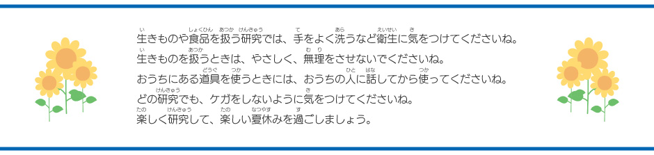 いきものやしょくひんをあつかうけんきゅうでは、てをよくあらうなどえいせいにきをつけてくださいね。いきものをあつかうときは、やさしく、むりをさせないでくださいね。おうちにあるどうぐをつあうときは、おうちのひとにはなしてからつかってくださいね。どのけんきゅうでも、けがをしないようにきをつけてくださいね。たのしくけんきゅうして、たのしいなつやすみをすごしましょう。