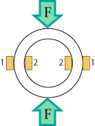 起歪体の形状とひずみの生じ方　リング型（円環型）イメージ画像